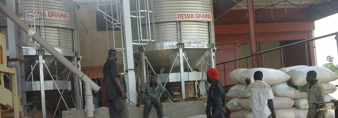 rewa_seeds